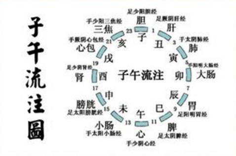子午流注图